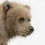 Thumbnail: There is something on my nose Greetings Card