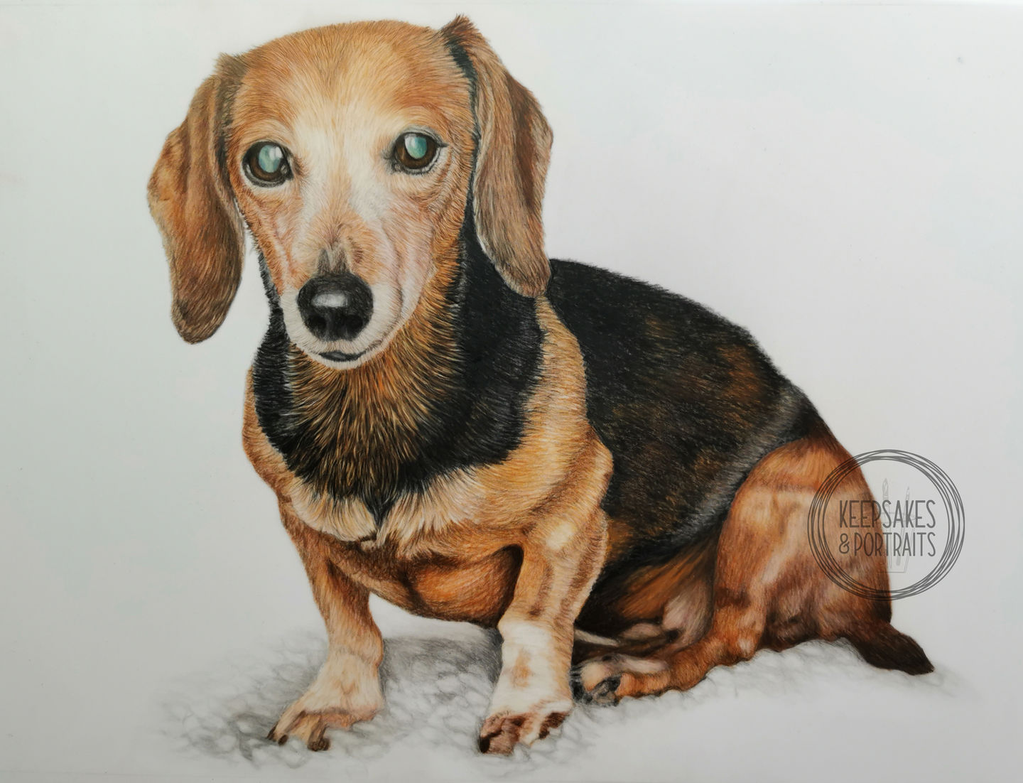 Dachshund logo.jpg