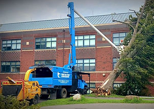 Jeovany Tree Service