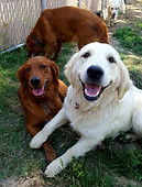 image000000-1.jpg
