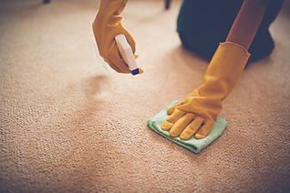 A person wearing yellow gloves cleans a carpet with a spray bottle and cloth.