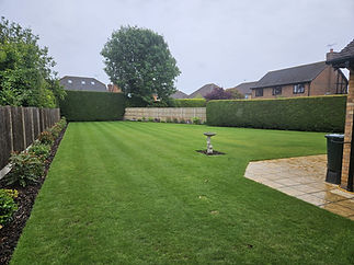 Vast green residential garden lawn framed by high privacy hedges and mature trees under an overcast sky