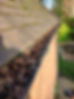 A roof gutter clogged and overflowing with dry brown leaves and debris