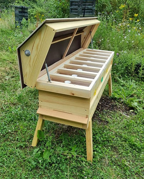 Open top bar wooden beehive showing internal frames outdoors