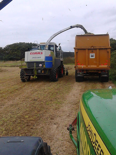 Forage harvester discharging chopped crop directly into a large trailer on farmland