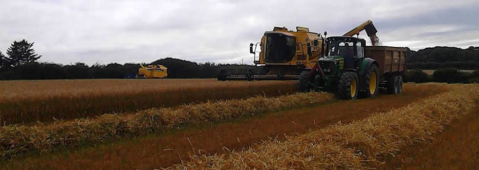 Tractor and machinery working on a rural field during late afternoon harvest