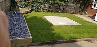 A garden scene with fresh green grass bordered by a wooden fence