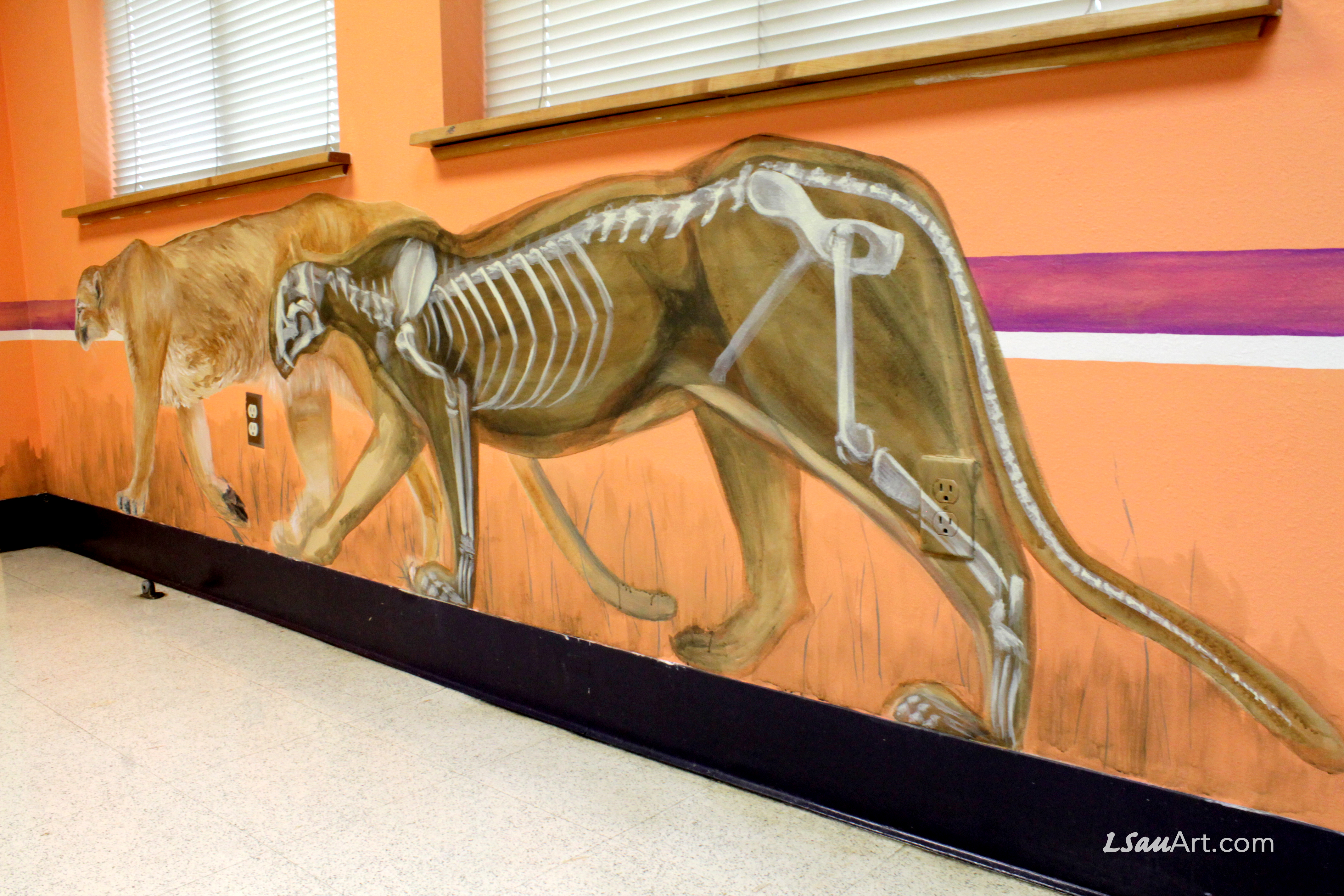 Detail: Mountain Lions