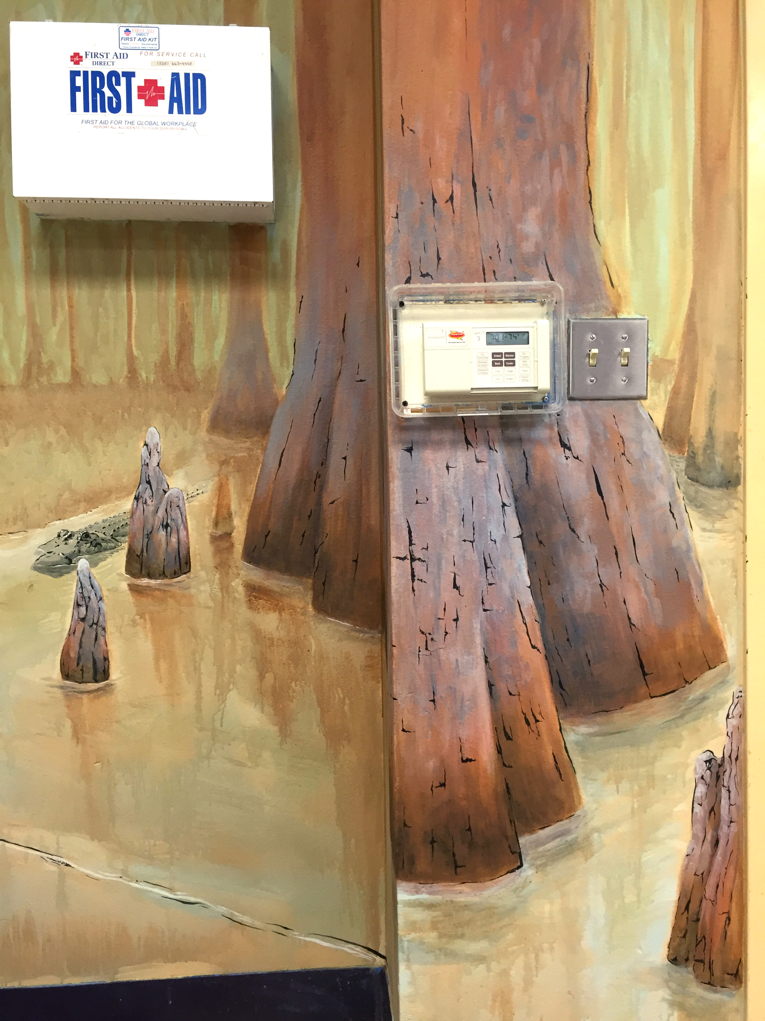 Texas Ecology Activity Room