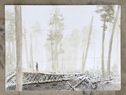 Kings Canyon
