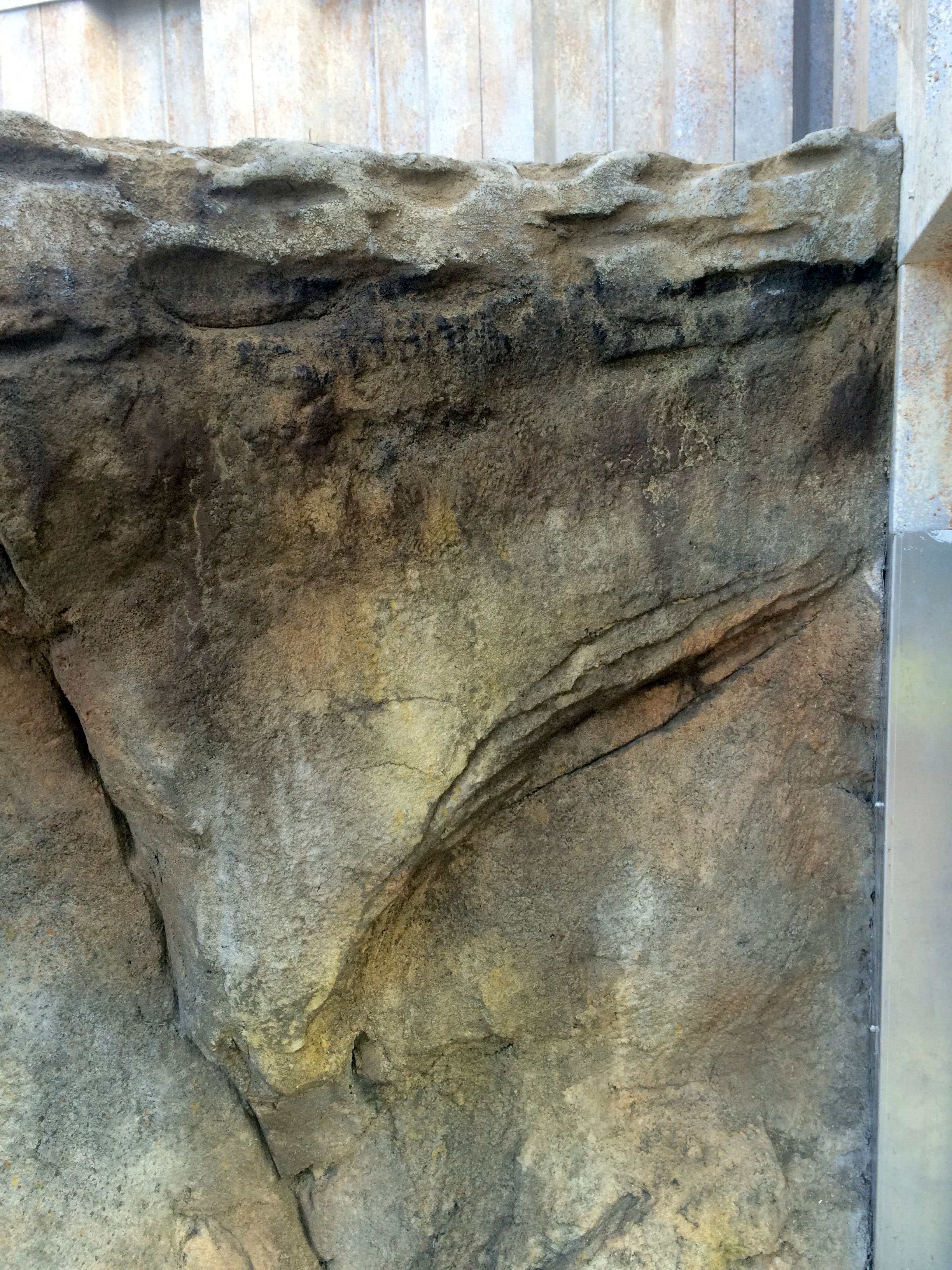 Tide Line Detail