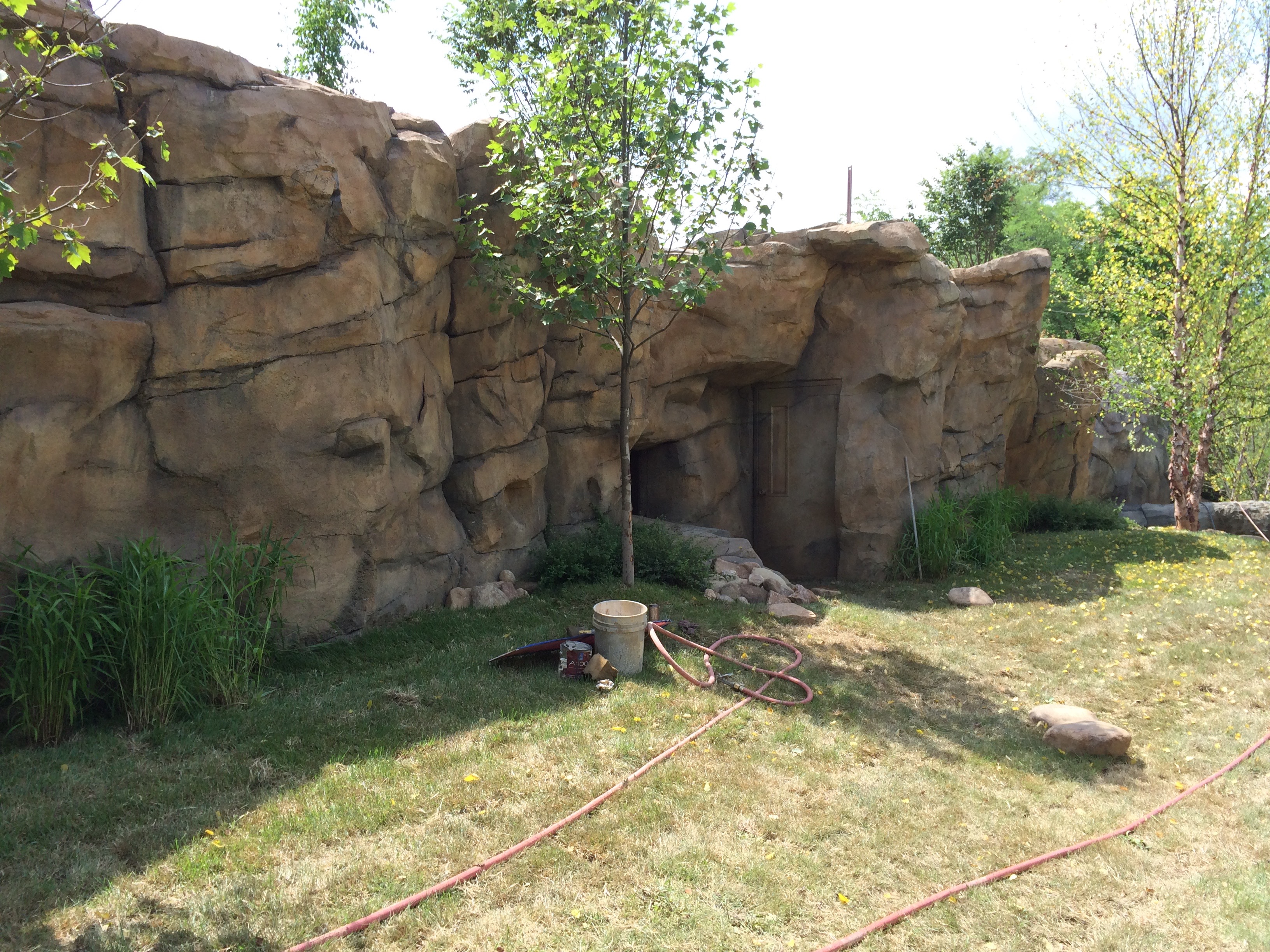 Wild Dog Exhibit