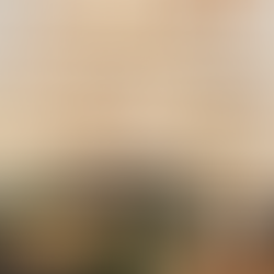 postavitev cateringa na otvoritvi novih pisarn v podjetju Tapro