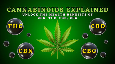 Minnesota KushCo’s Ultimate Wellness Guide to THC, CBD, CBG, and CBN