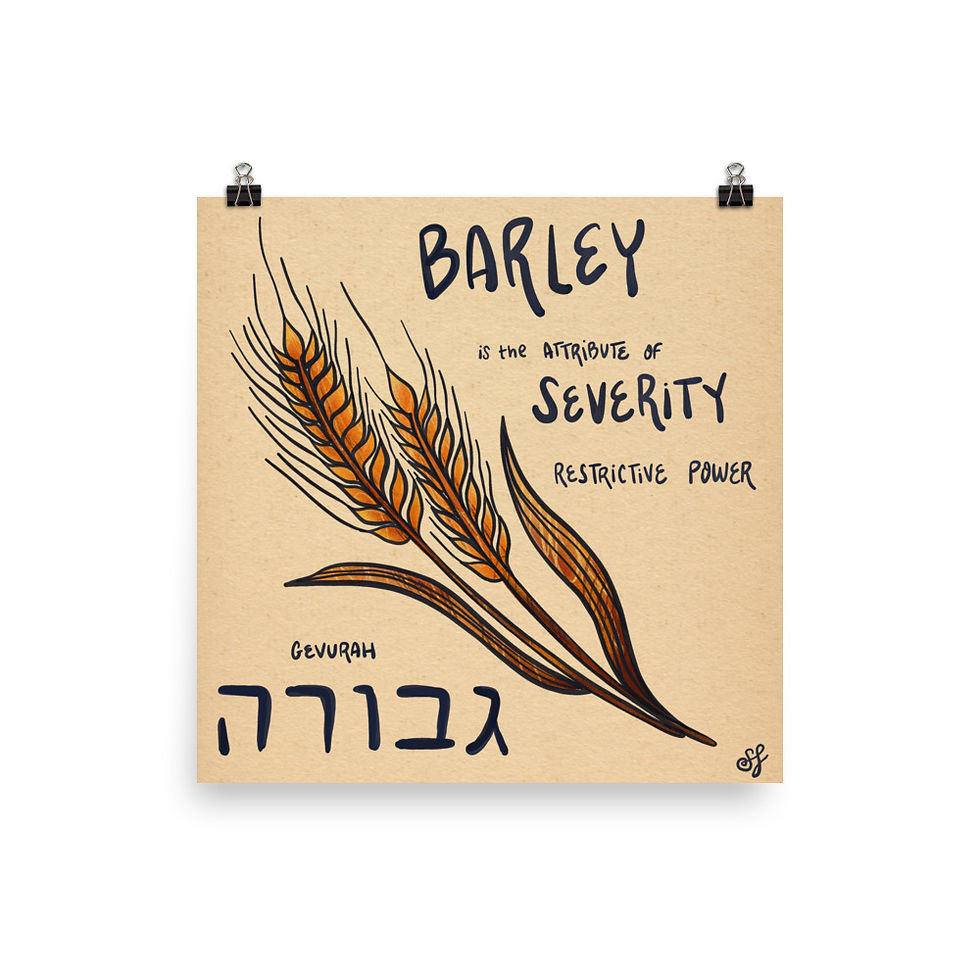 Thumbnail: Kabbalah of Barley