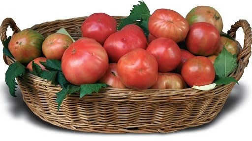 Pomodori da insalata * 1 kg