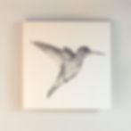 Hummingbird