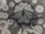 Small world (Monarch)