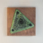 Diatom
