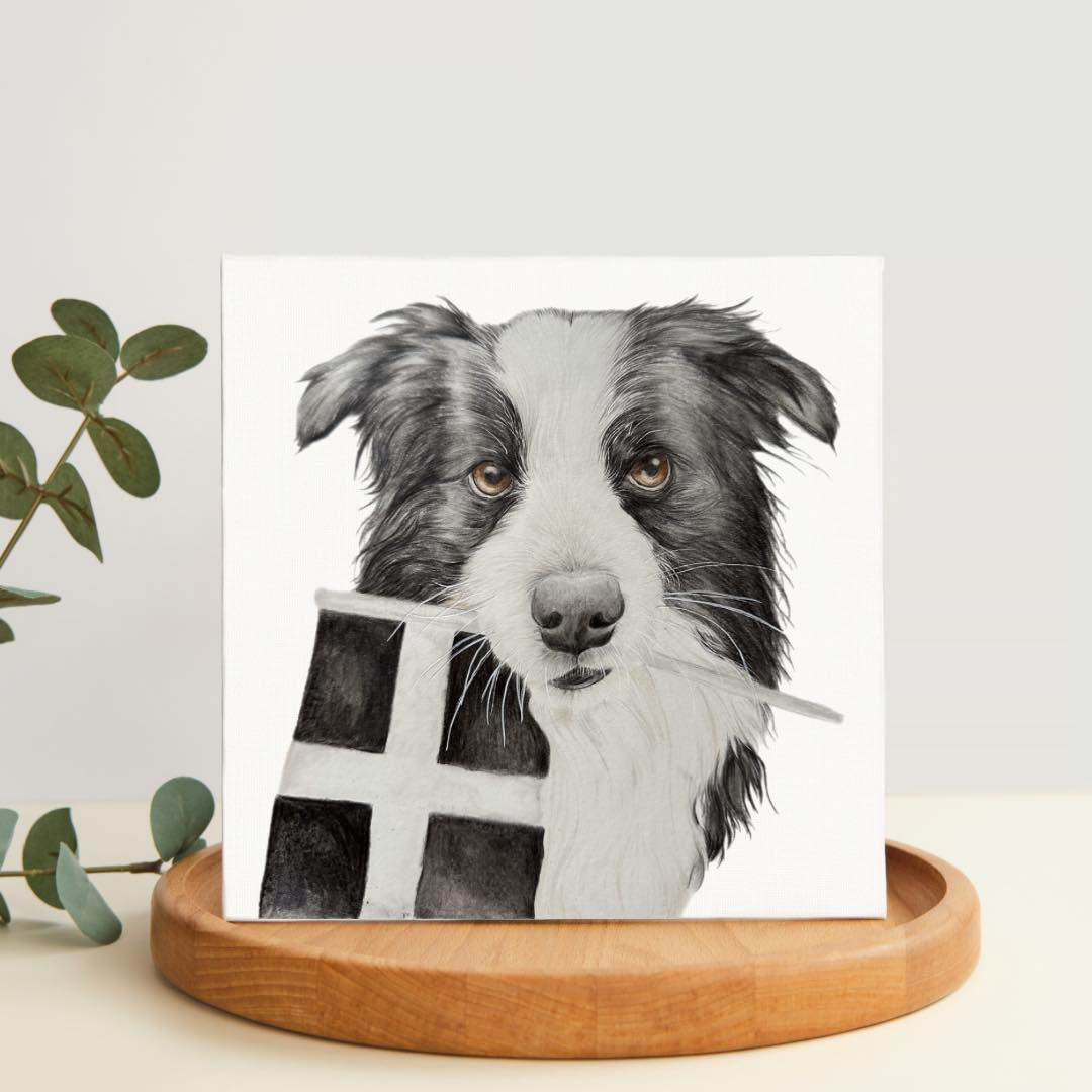 Border collie greeting card