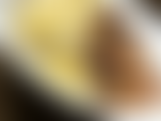 CORN RISOTTO AND SWEET PAPRIKA CHICKEN