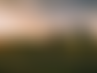 Pferd und Frau, Versuch der Kontaktaufnahme