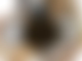 Der Durchbruch: Das Ende des Paradoxons und der Zugriff auf das EWIGE LEBEN