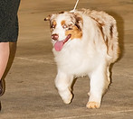 Sky Creek My Name is Maximus