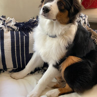 Monty from Maggie and Lincoln