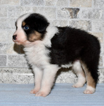 baby Maggie at 5 weeks