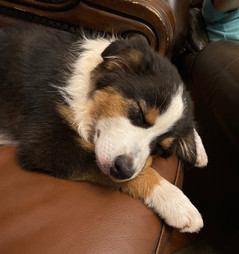 my sweet girl
