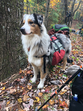 Hiking Diesel