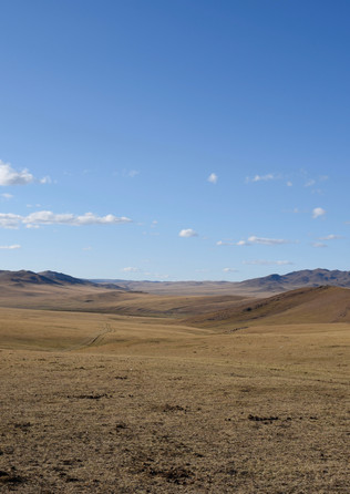 Landscape and a Yurt.
- Western Mongolia.