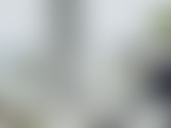 When Is the Right Time to Pressure Wash Your Business — and Why It Matters