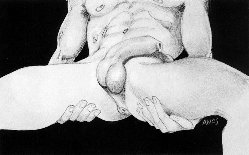 Midsection by Anos Nemos