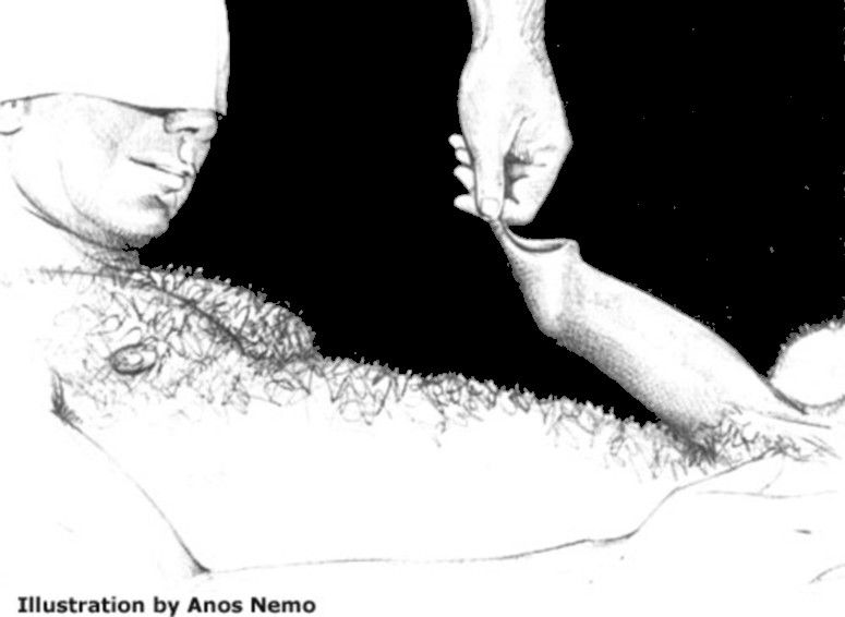 Foreskin by Anos Nemos