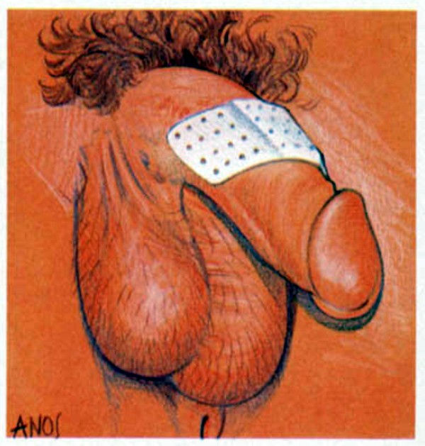 Bandaid on Cock by Anos Nemos