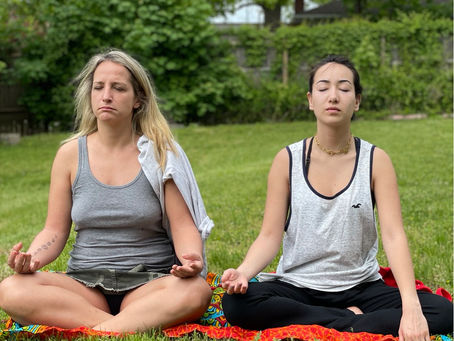 The Bulldog and The Little Buddha or About Finding Friends in Unexpected Places