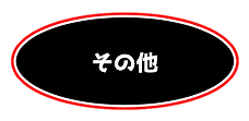 その他.png