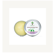 Screen Shot 2022-03-30 at 11.22.17 AM.png