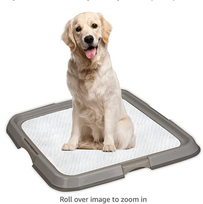 Screen Shot 2022-03-28 at 4.19.30 PM.png