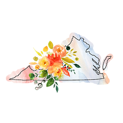 Virgina (1).png