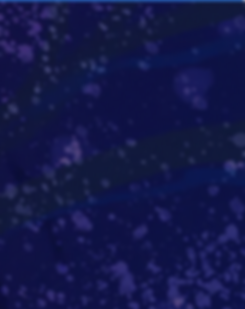 Screen Shot 2022-09-06 at 3.23.21 PM.png