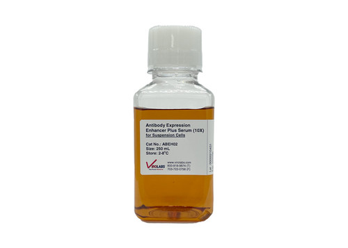 Antibody Expression Enhancer with Serum for Suspension Cells (10X ...