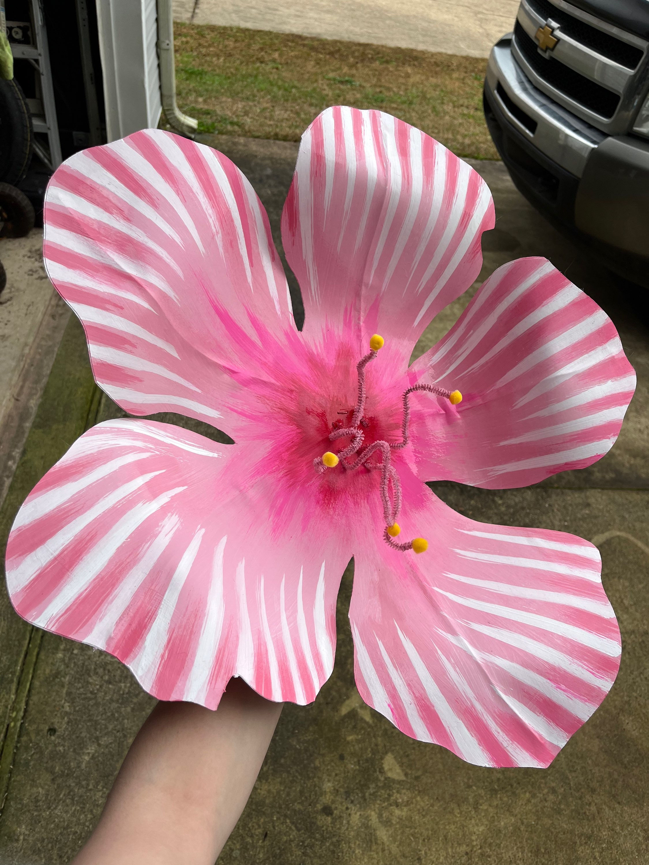 Japanese Cherry Blossom