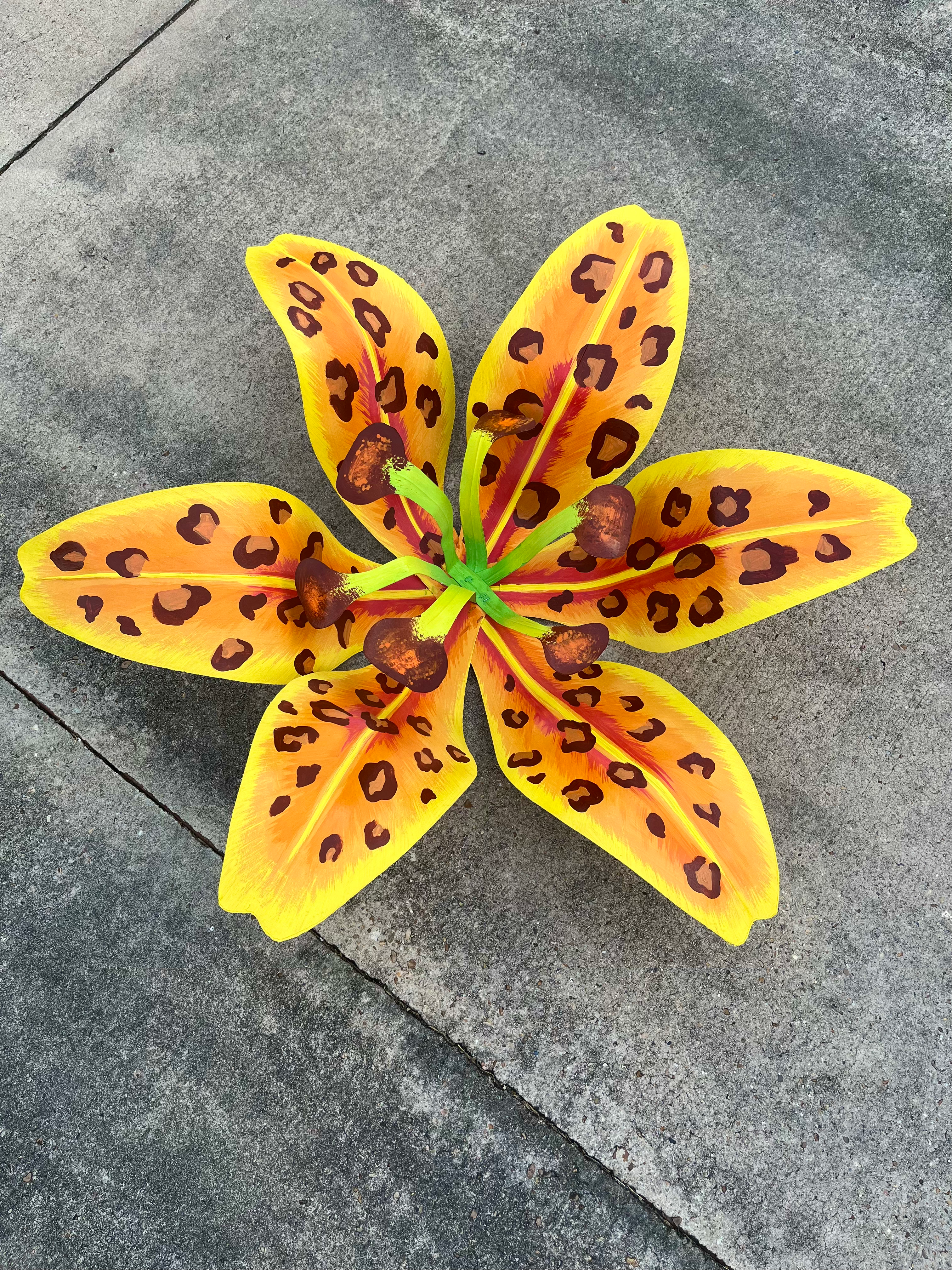 Cheetah Lily
