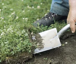 ground.webp