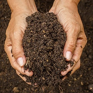 Premium Compost & Mulchs
