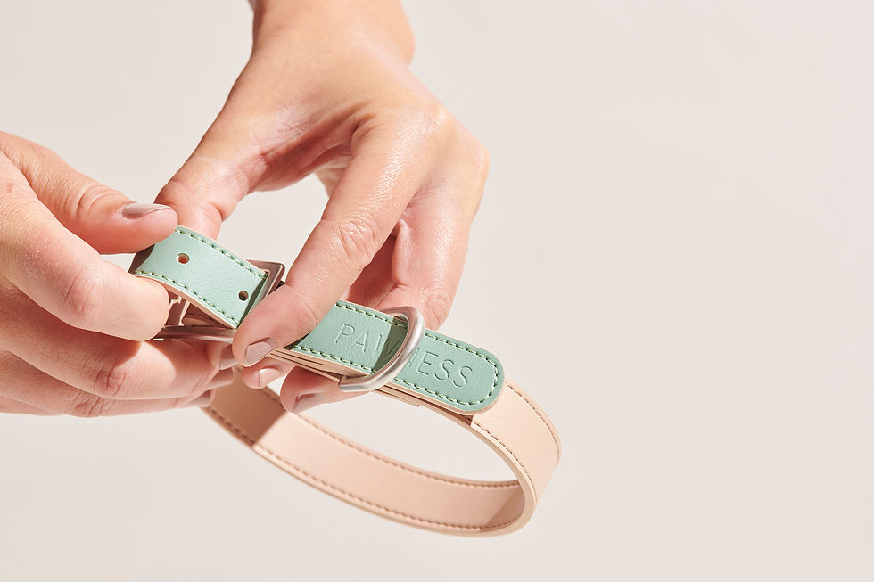 Pawness Ovratnica iz veganskega usnja – EMERALD