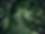 dark ;eave.png
